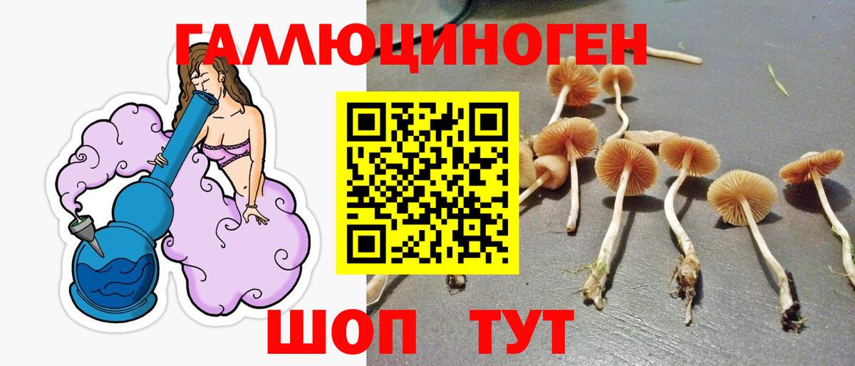 Галлюциногенные грибы MAGIC MUSHROOMS  Вход с VPN  Лесозаводск 