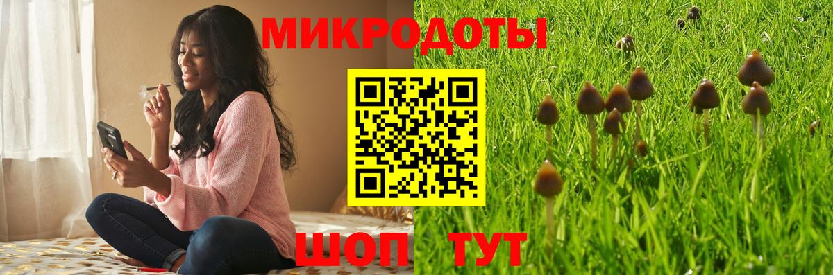 Псилоцибиновые грибы GOLDEN TEACHER Лесозаводск